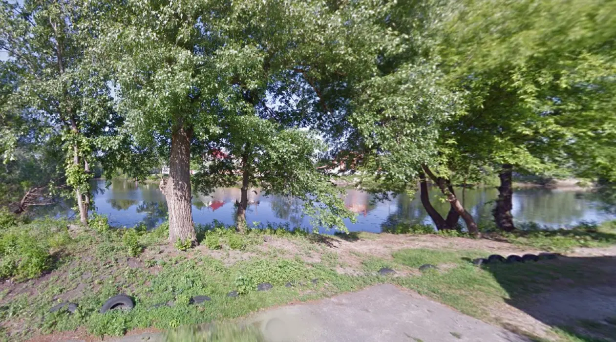 Фото Selling a land plot, 47th Sadova Street  Kyiv, price: 60000 $, code 2697