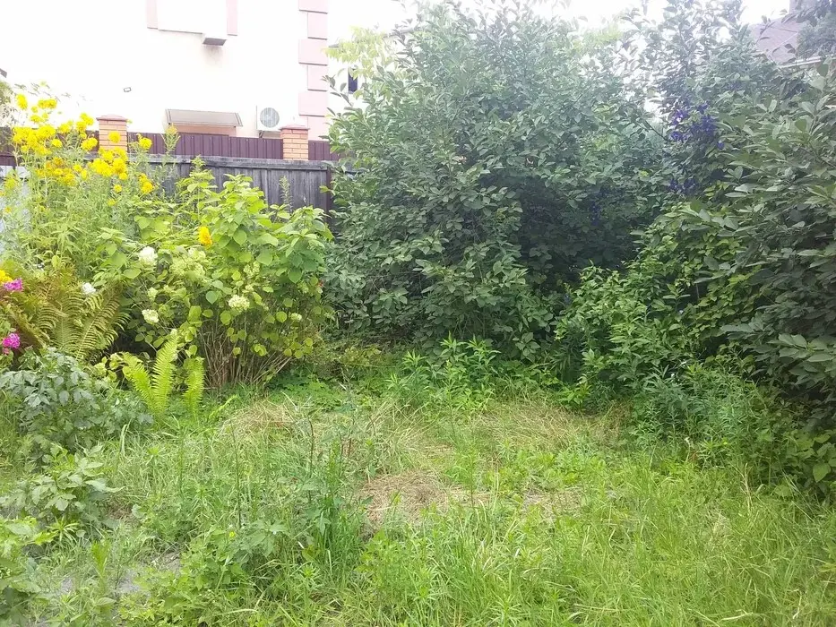 Фото Продаю будинок, 105 кв. м, Стеценка вул.  Київ, ціна: 160000 $, код 2740