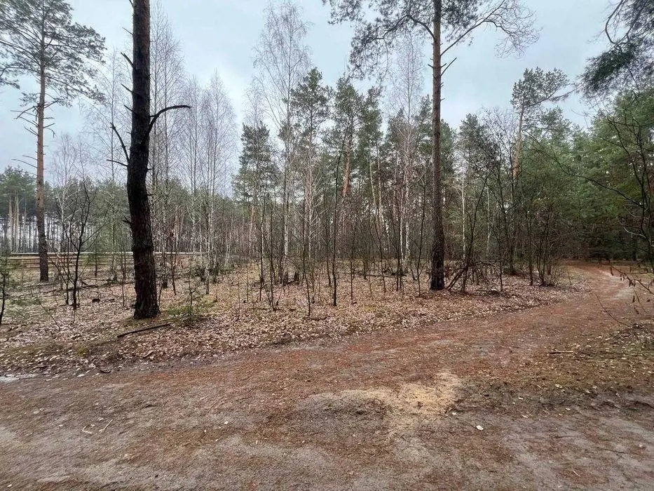 Фото Продаю земельну ділянку, Радистів пров.  Київ, ціна: 40000 $, код 2820