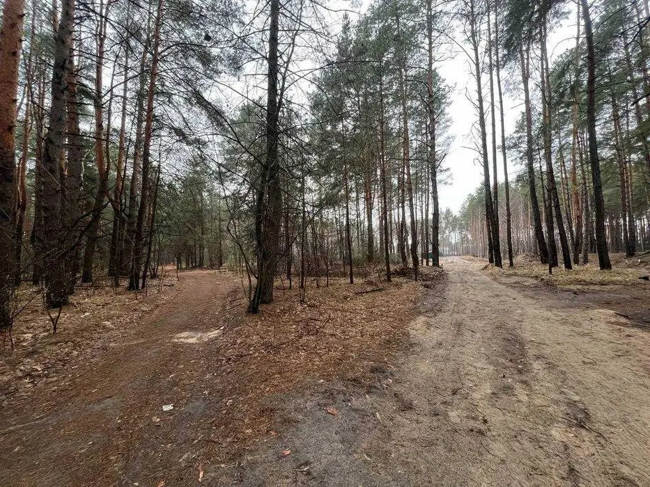 Фото Продаю земельну ділянку, Радистів пров.  Київ, ціна: 40000 $, код 2820