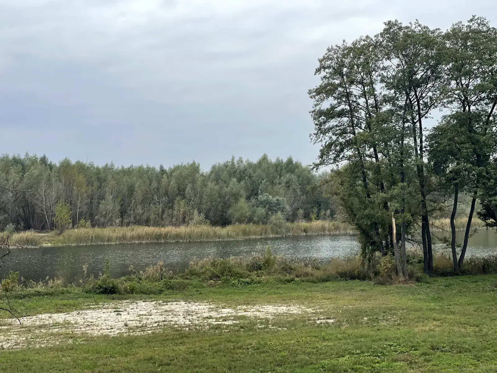 Фото Продаю будинок, 230 кв. м, Ходосівка, ціна: 229500 $, код 2822