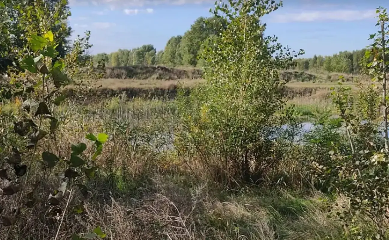 Фото Продаю земельный участок, Никифора Дровняка ул.  Киев, цена: 100000 $, код 3084