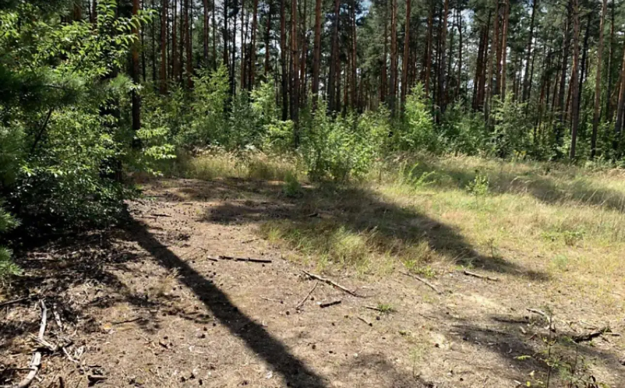 Фото Продаю земельный участок, Радистов ул.  Киев, цена: 30000 $, код 3085