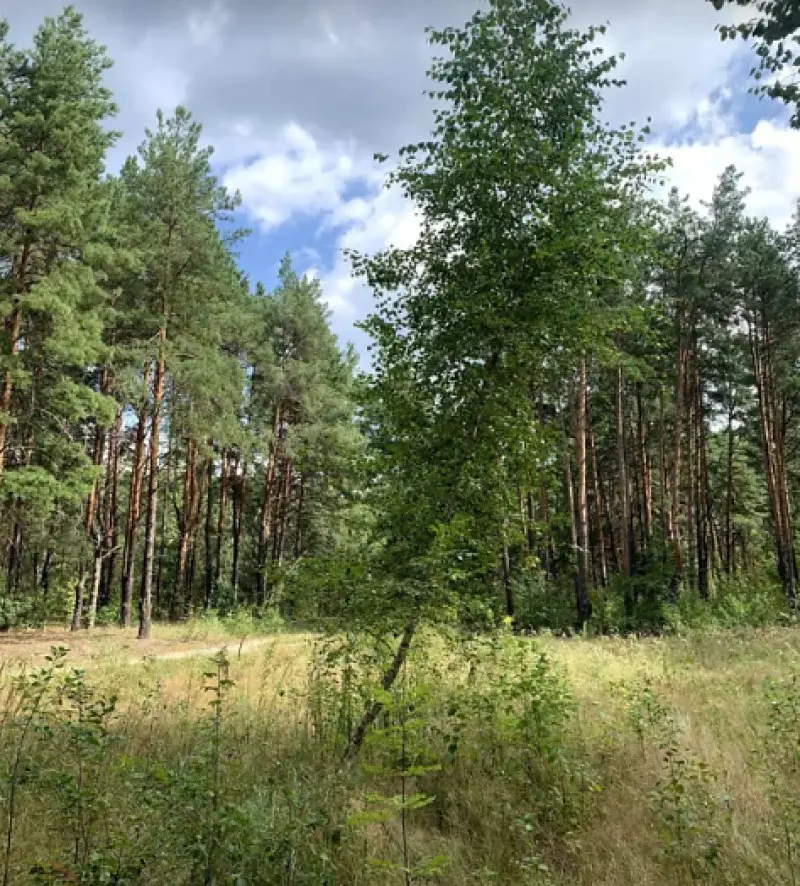 Фото Продаю земельный участок, Радистов ул.  Киев, цена: 30000 $, код 3085
