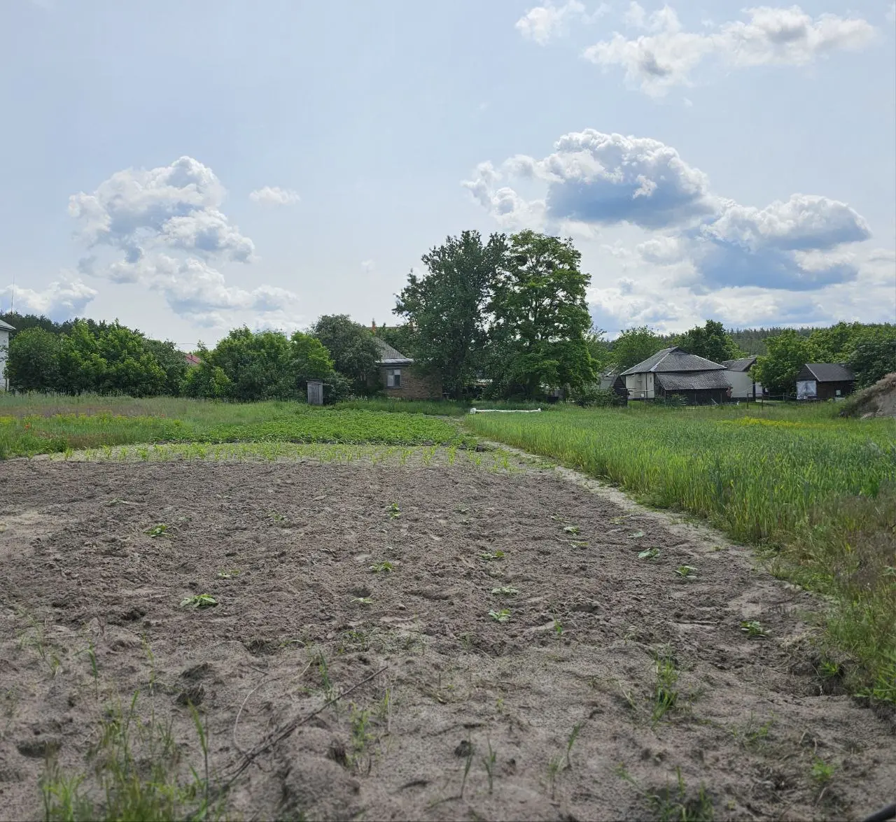 Фото Selling a land plot, Zakhvativska Street  Pukhivka, price: 22400 $, code 3169