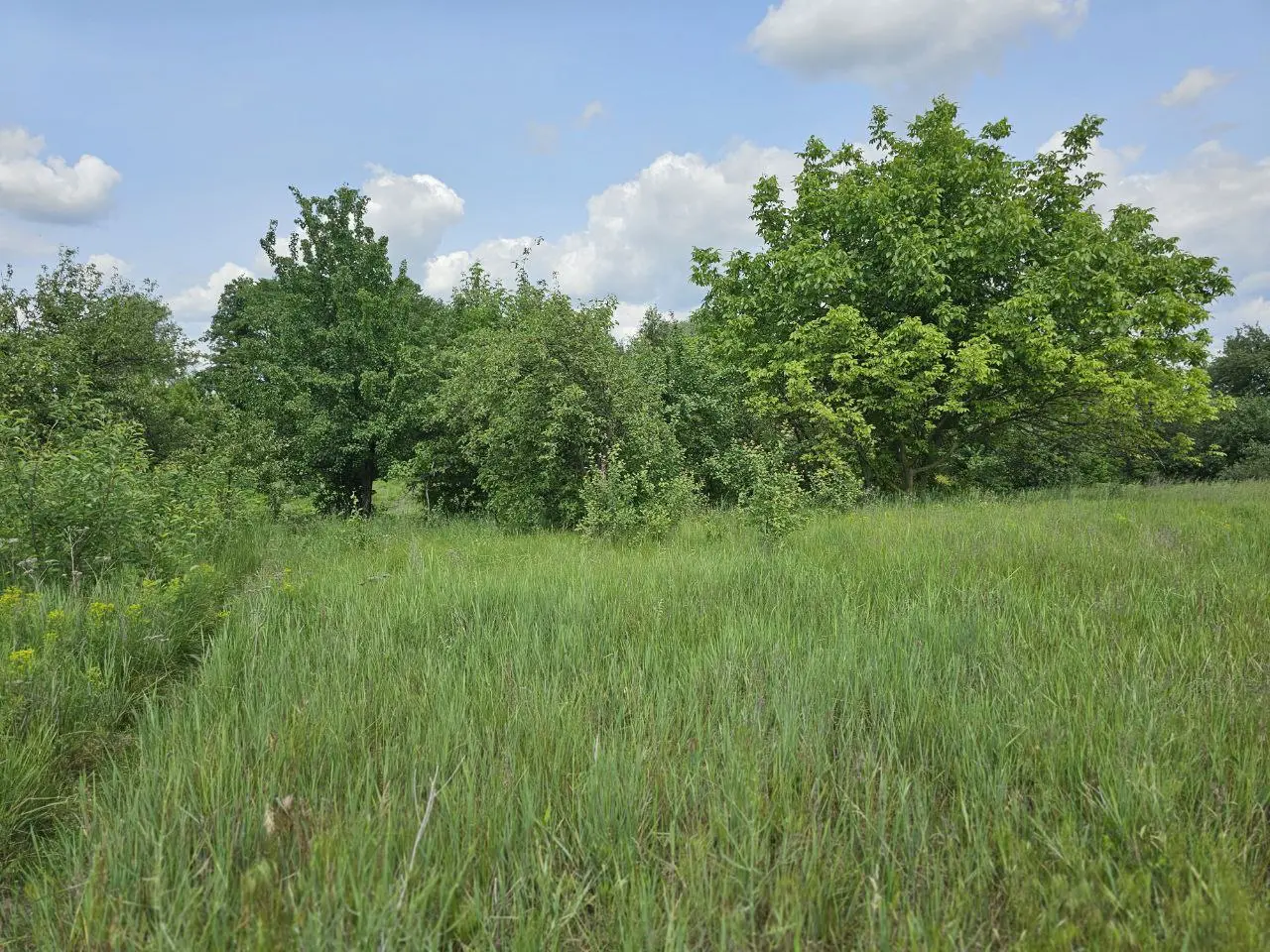 Фото Selling a land plot, Zakhvativska Street  Pukhivka, price: 22400 $, code 3169