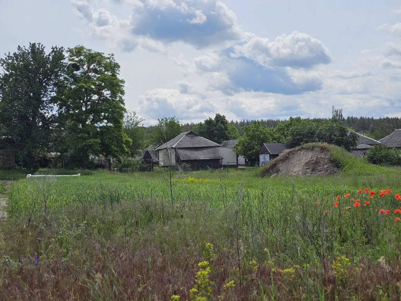 Фото Selling a land plot, Zakhvativska Street  Pukhivka, price: 22400 $, code 3169