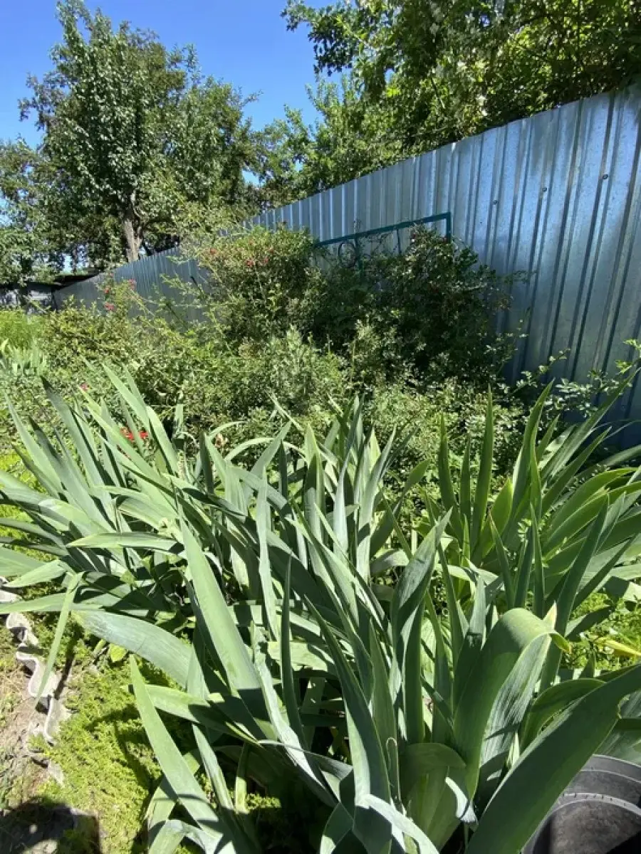 Фото Продаю земельный участок, 129-я Садовая ул.  Киев, цена: 50000 $, код 3176