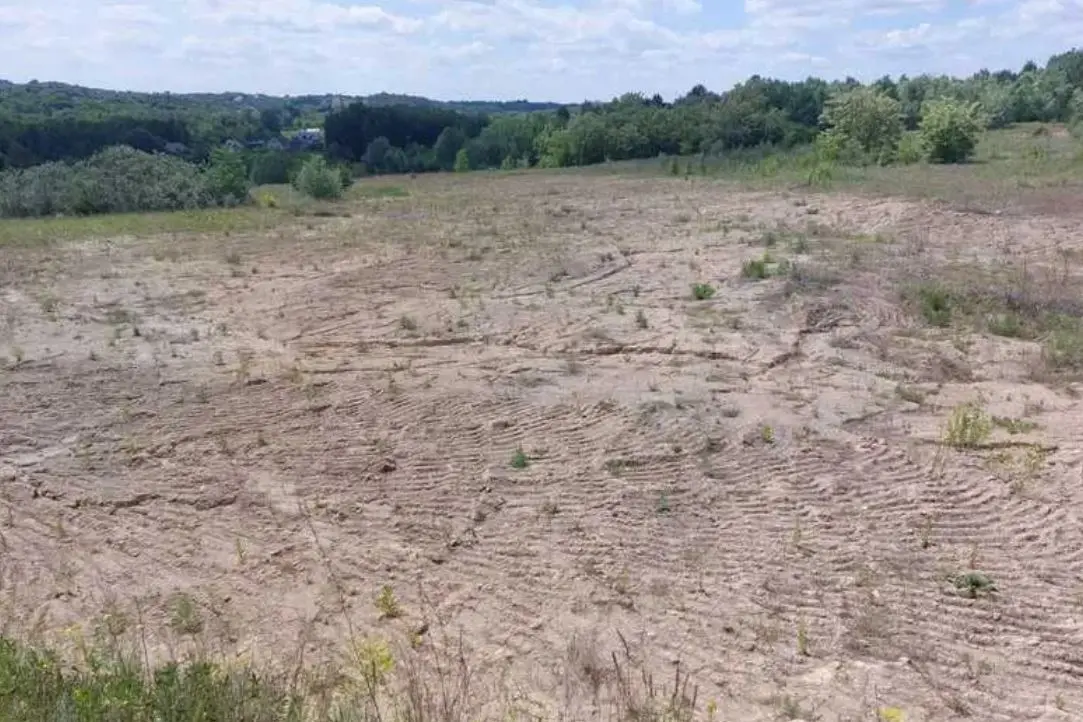 Фото Продаю земельну ділянку, Рославичі, ціна: 9600 $, код 3180