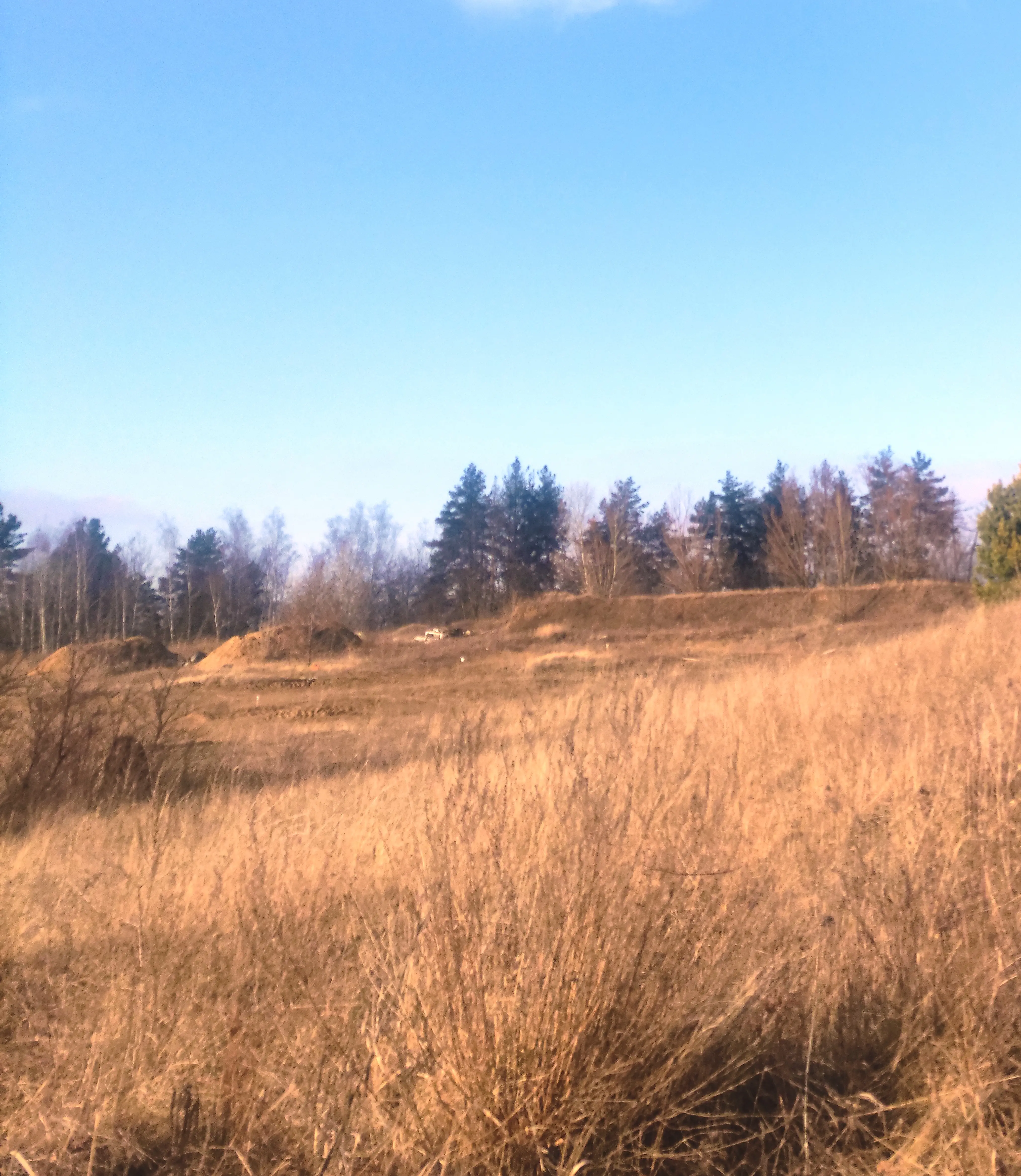 Фото Продаю земельну ділянку, Рославичі, ціна: 9600 $, код 3180