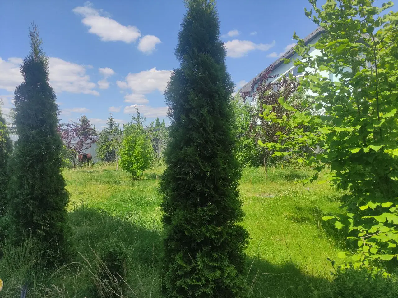 Фото Selling a house, 170 sq.m., Raiduzhna Street  Knyazhychi, price: 149999 $, code 3183