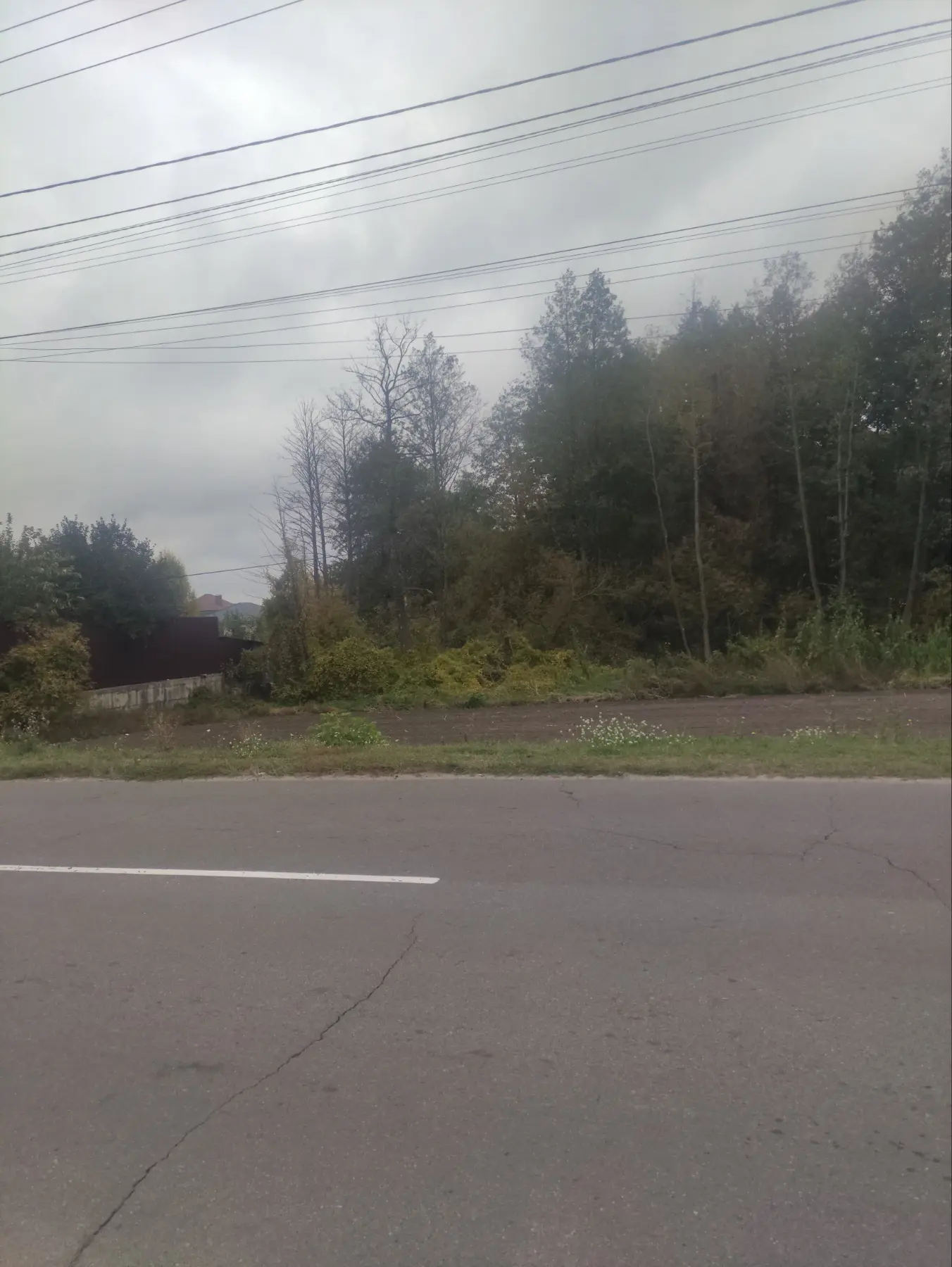 Фото Продаю земельну ділянку, Деснянська вул.  Зазим’я, ціна: 28000 $, код 3192