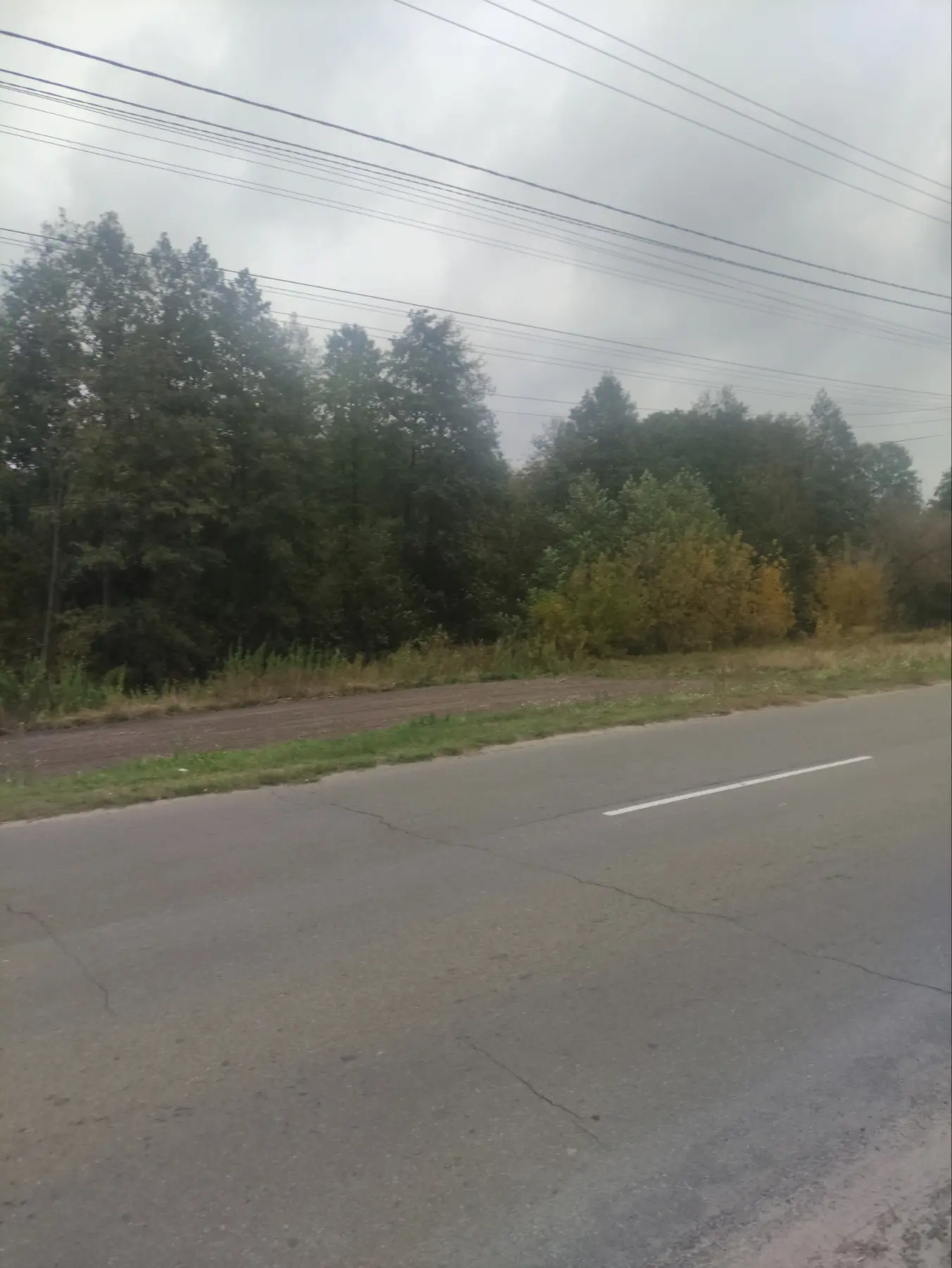 Фото Продаю земельну ділянку, Деснянська вул.  Зазим’я, ціна: 28000 $, код 3192