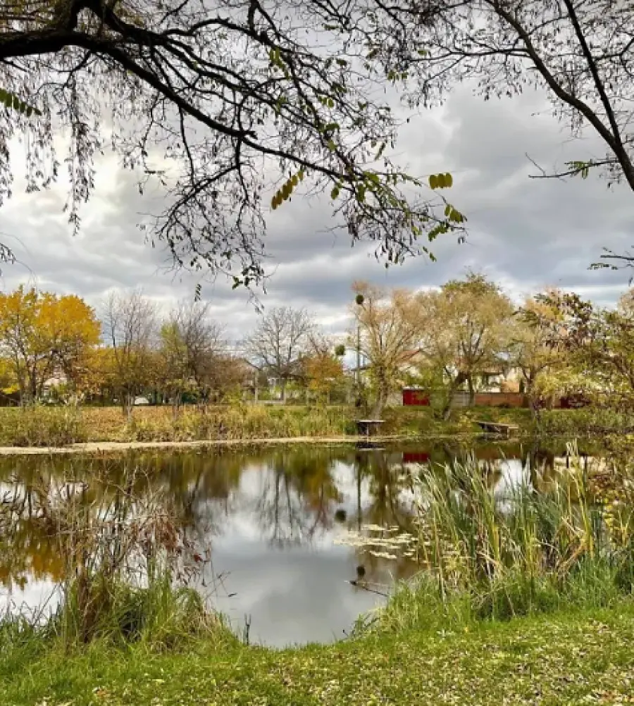 Фото Продаю земельну ділянку, 130-а Садова вул.  Київ, ціна: 55000 $, код 3357