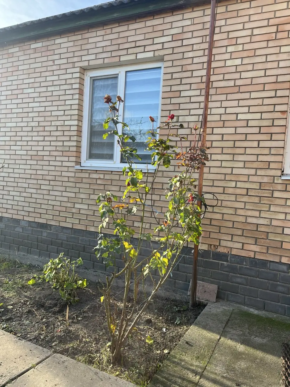 Фото Rent a house, Kostiantyna Arefieva Street  Kyiv for long-term rent, price: 15000 UAH, code 3473