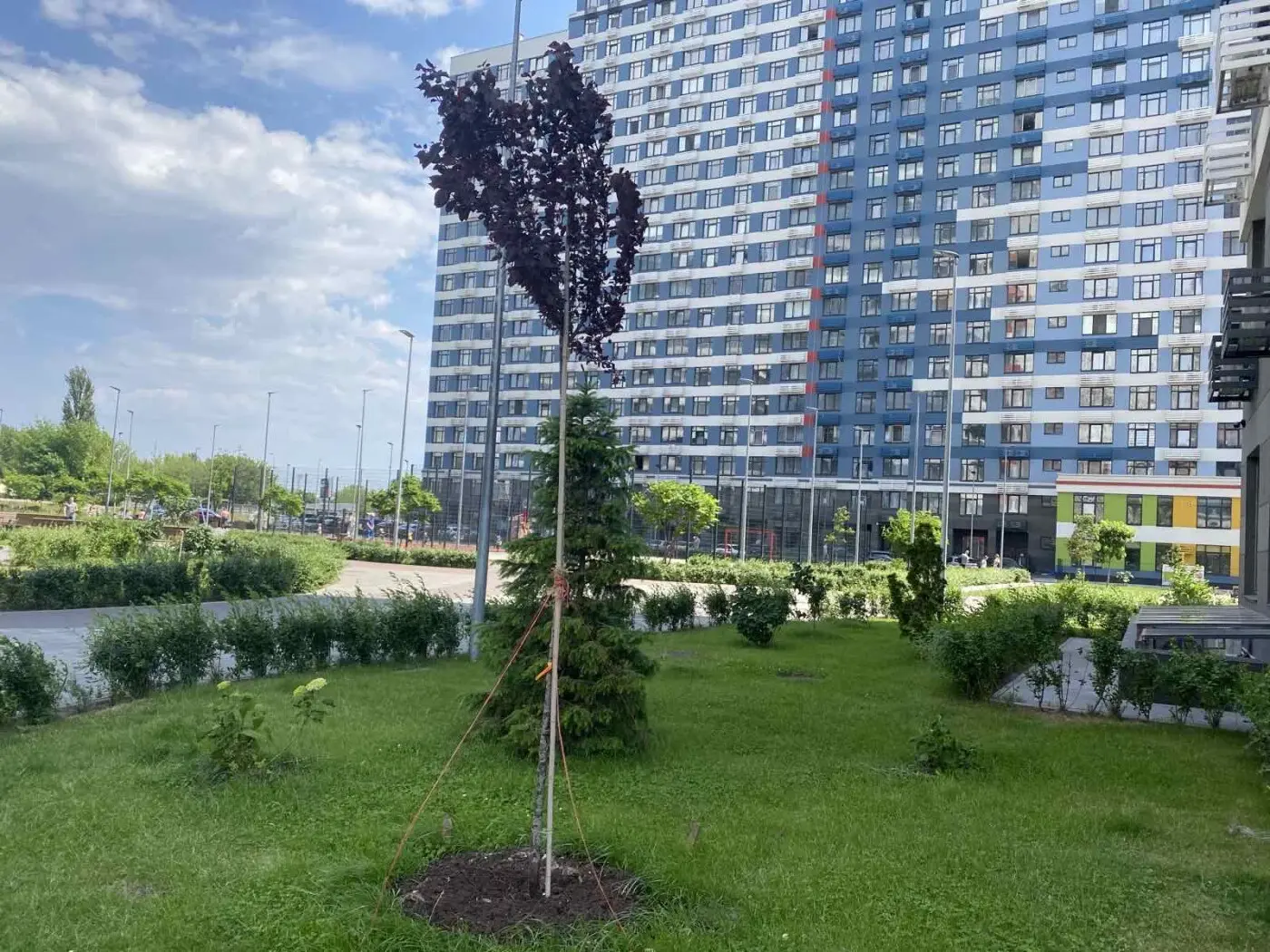 Фото Продаю 3-комнатную квартиру, 88 кв. м, Евгения Сверстюка ул. 6 Киев, цена: 176000 $, код 3514