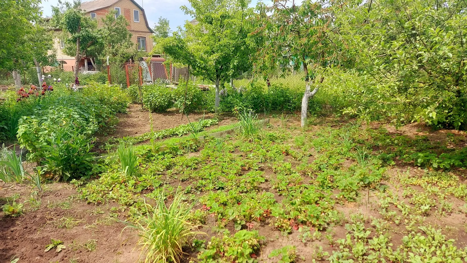 Фото Продаю будинок, 120 кв. м, Садова вул.  Фастів, ціна: 45000 $, код 3589