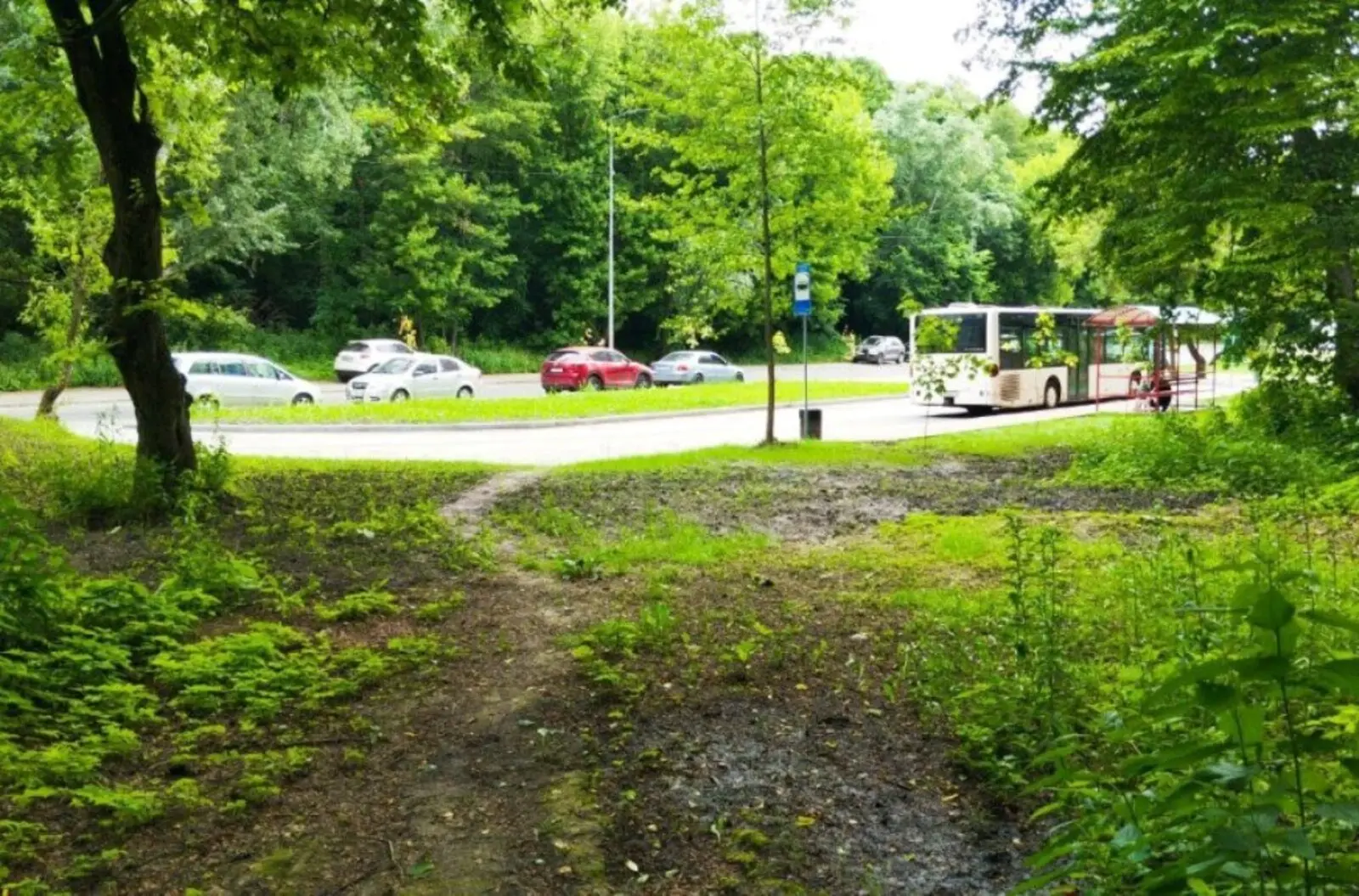 Фото Продаю земельну ділянку, Лисогірський пров.  Київ, ціна: 195000 $, код 3591