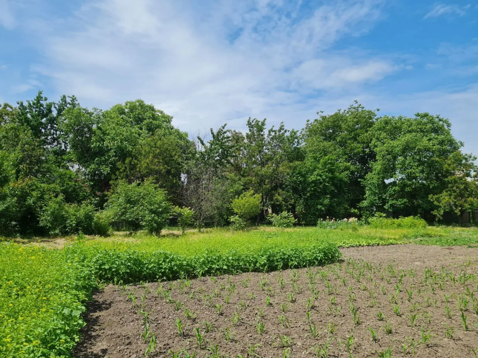 Фото Продаю земельный участок, Василия Щавинского ул. (Петровского) 3 Киев, цена: 270000 $, код 3593