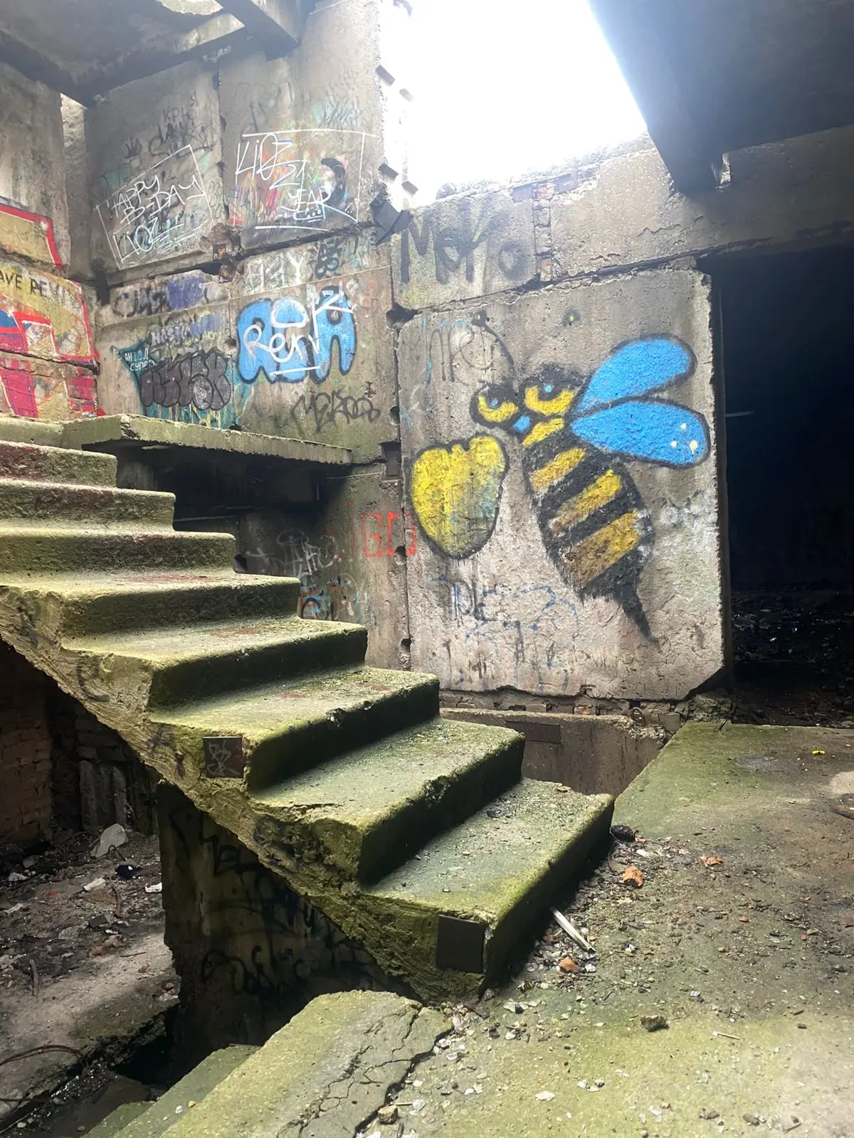 Фото Продаю дом, 2950 кв. м, Григория Усика ул. (Красноармейская)  Александрия, цена: 180000 $, код 3622