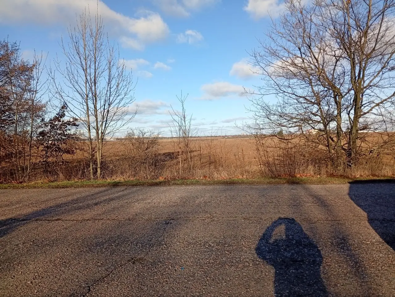 Фото Продаю земельну ділянку, Княжичі, ціна: 75600 $, код 3631