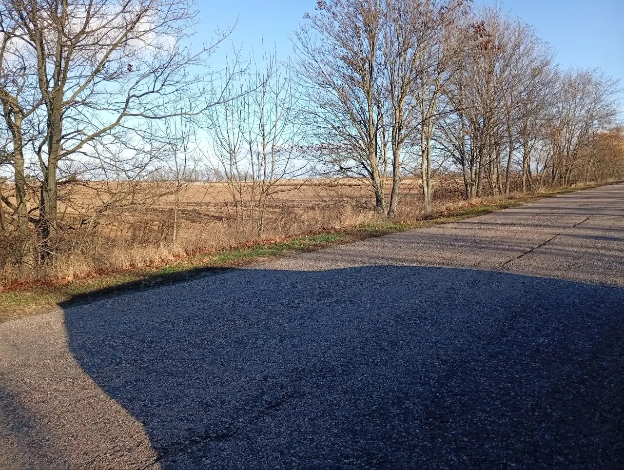 Фото Продаю земельну ділянку, Княжичі, ціна: 75600 $, код 3631