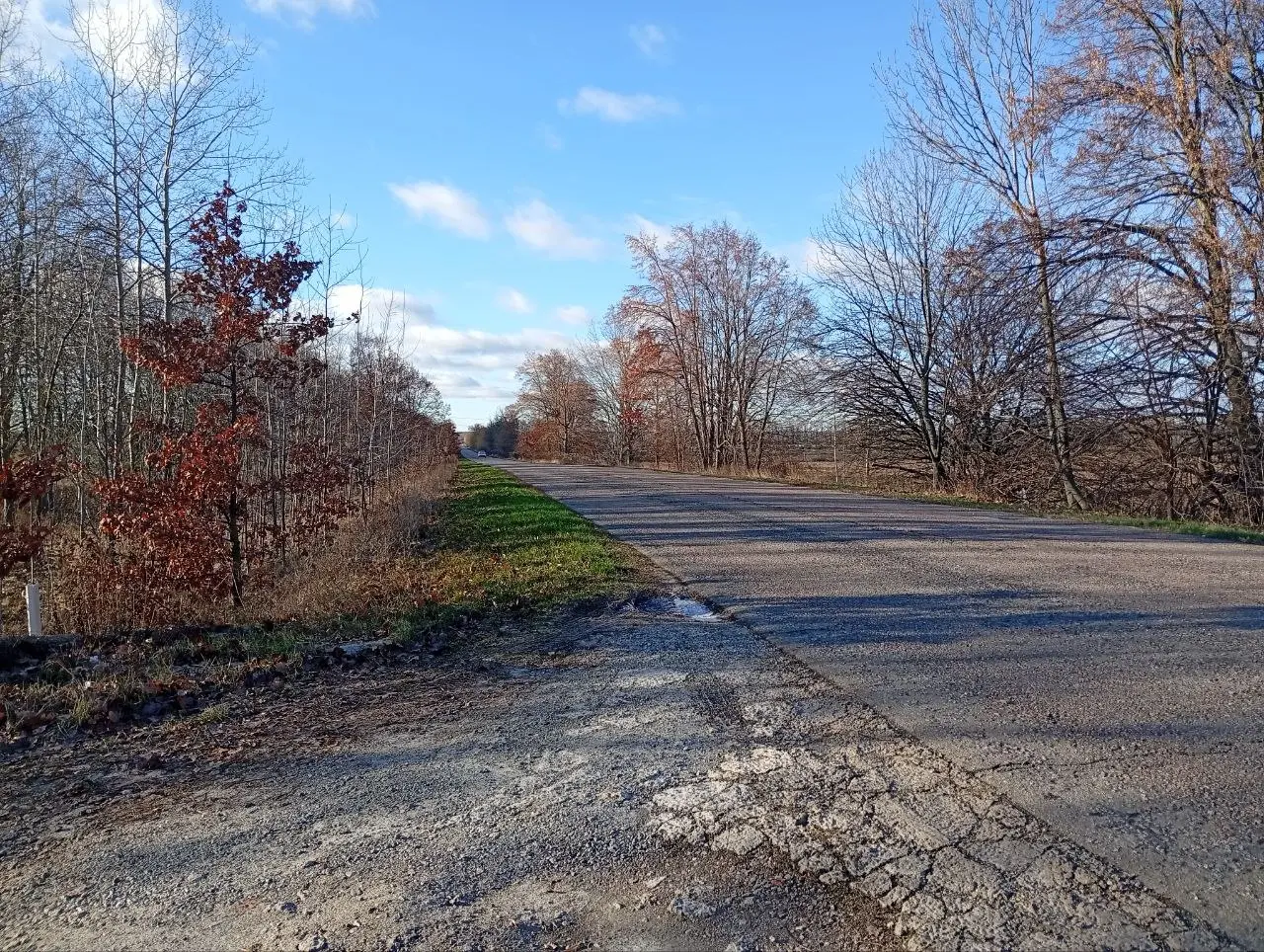 Фото Продаю земельну ділянку, Княжичі, ціна: 75600 $, код 3631