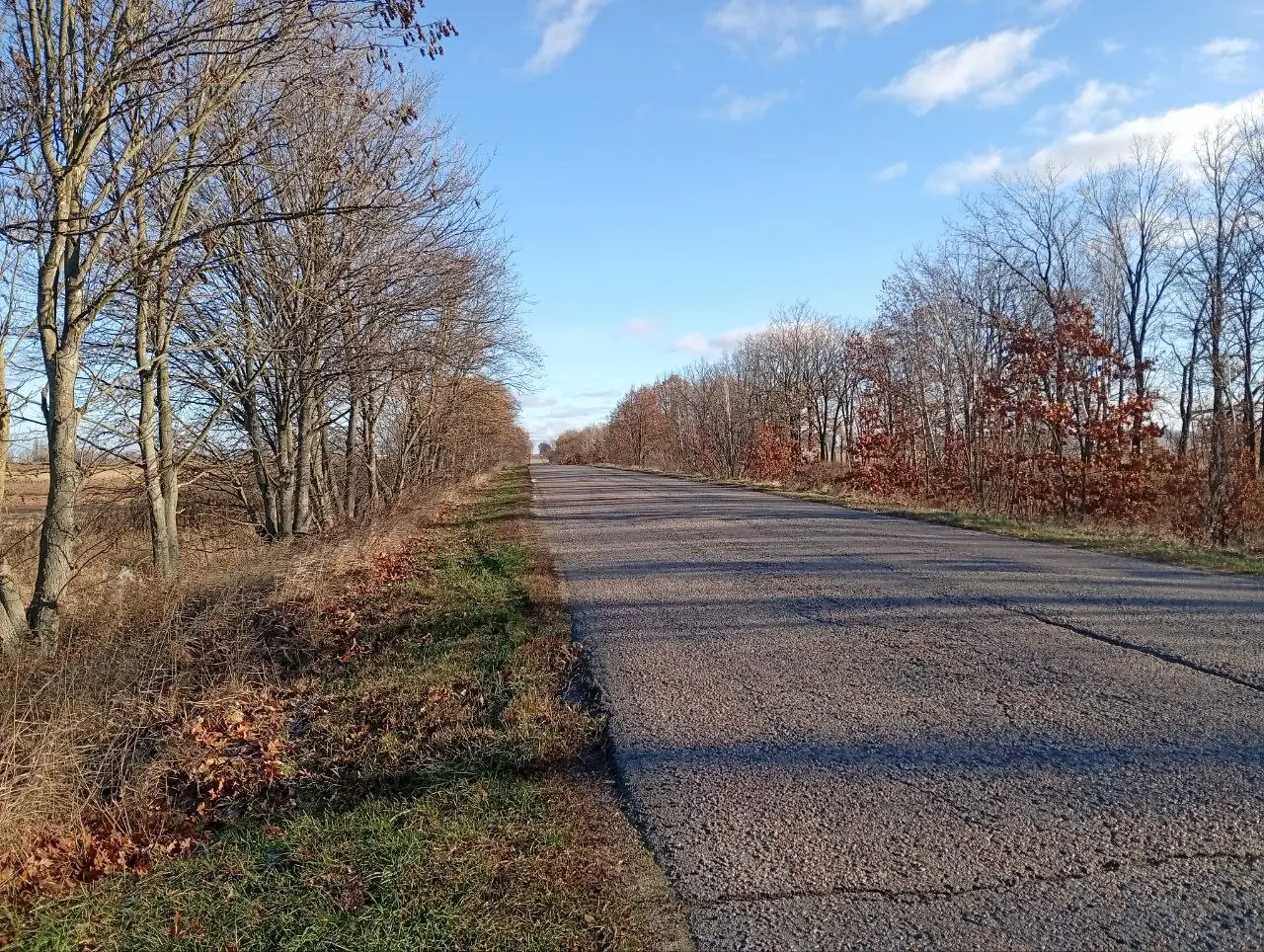 Фото Продаю земельну ділянку, Княжичі, ціна: 75600 $, код 3631