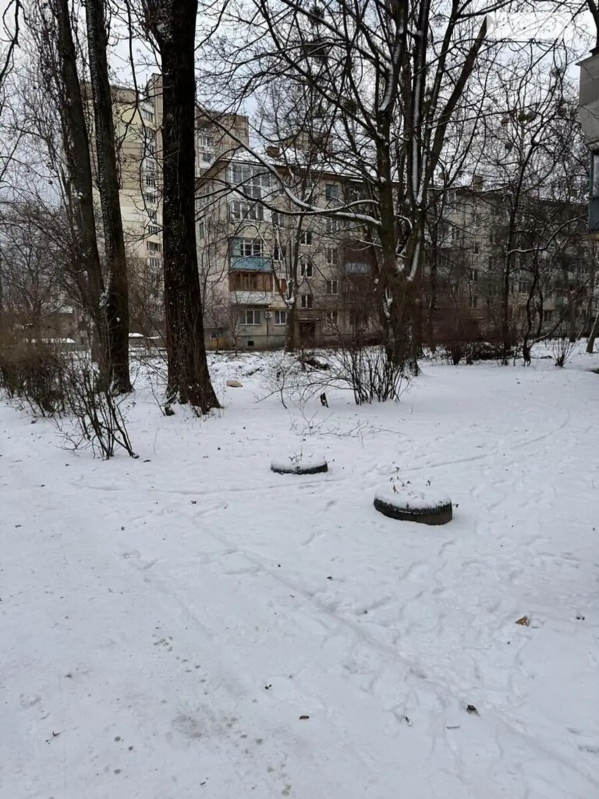 Фото Продаю 2 кімнатну квартиру, 43 кв. м, Миколи Василенка вул. 23б Київ, ціна: 60000 $, код 3713