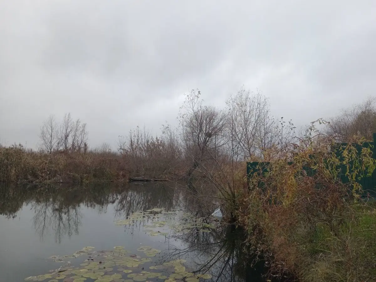 Фото Продаю земельну ділянку, Гоголя вул.  Київ, ціна: 44500 $, код 3756