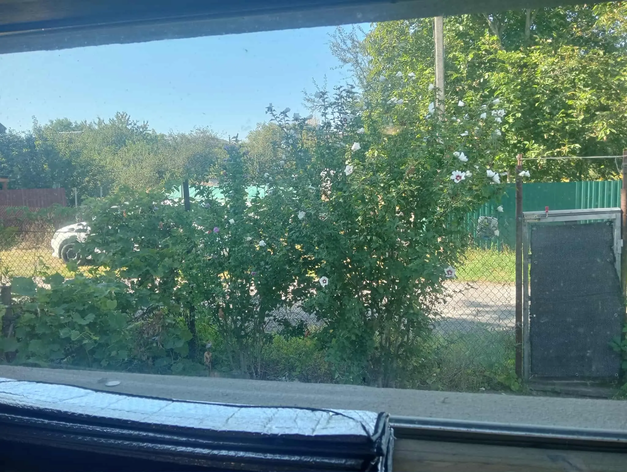 Фото Снять дом, Лесная ул.  Займище в долгосрочную аренду, цена: 15000 UAH, код 3806