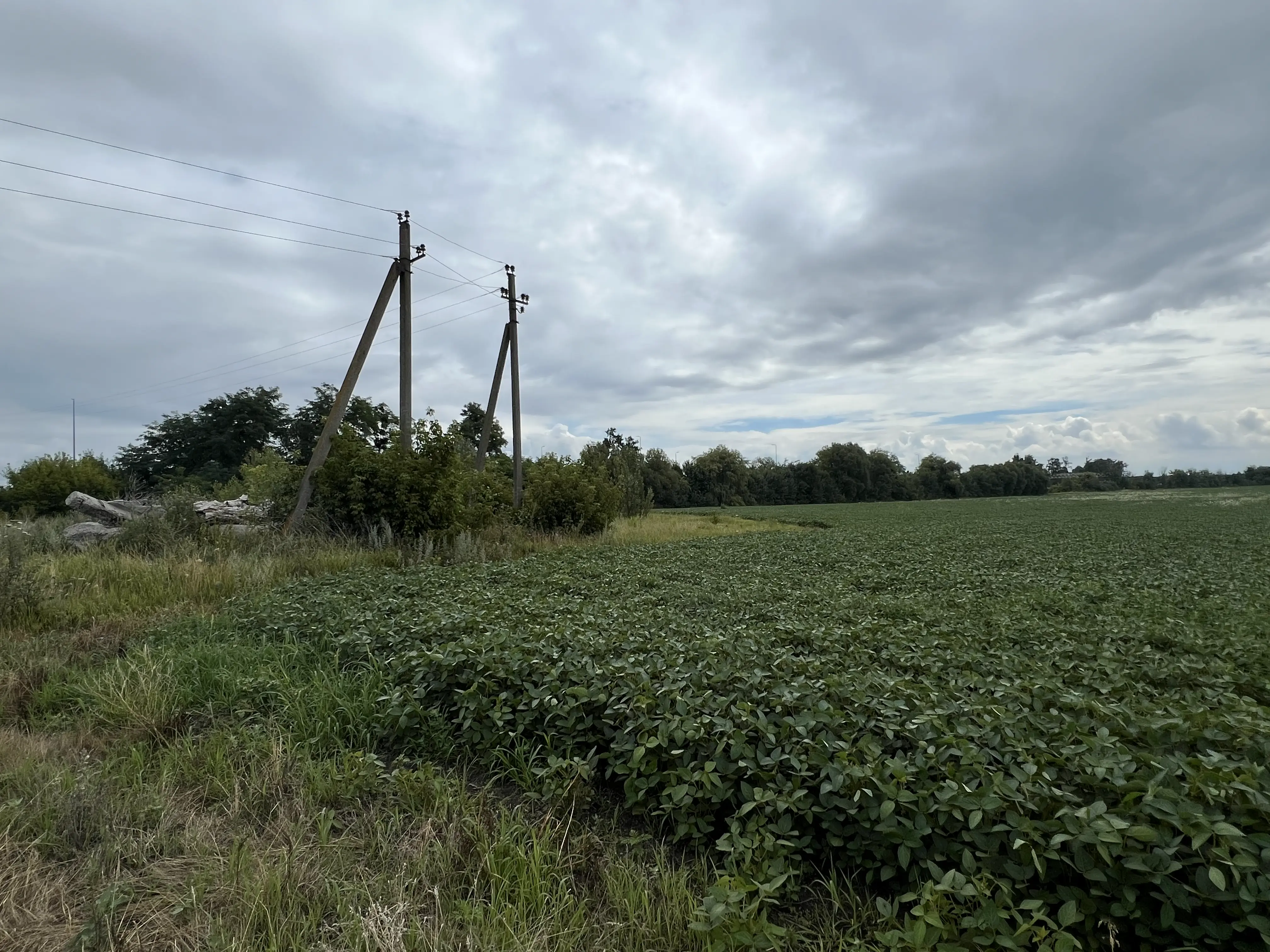 Фото Продаю земельну ділянку, Здорівка, ціна: 2712000 $, код 4031