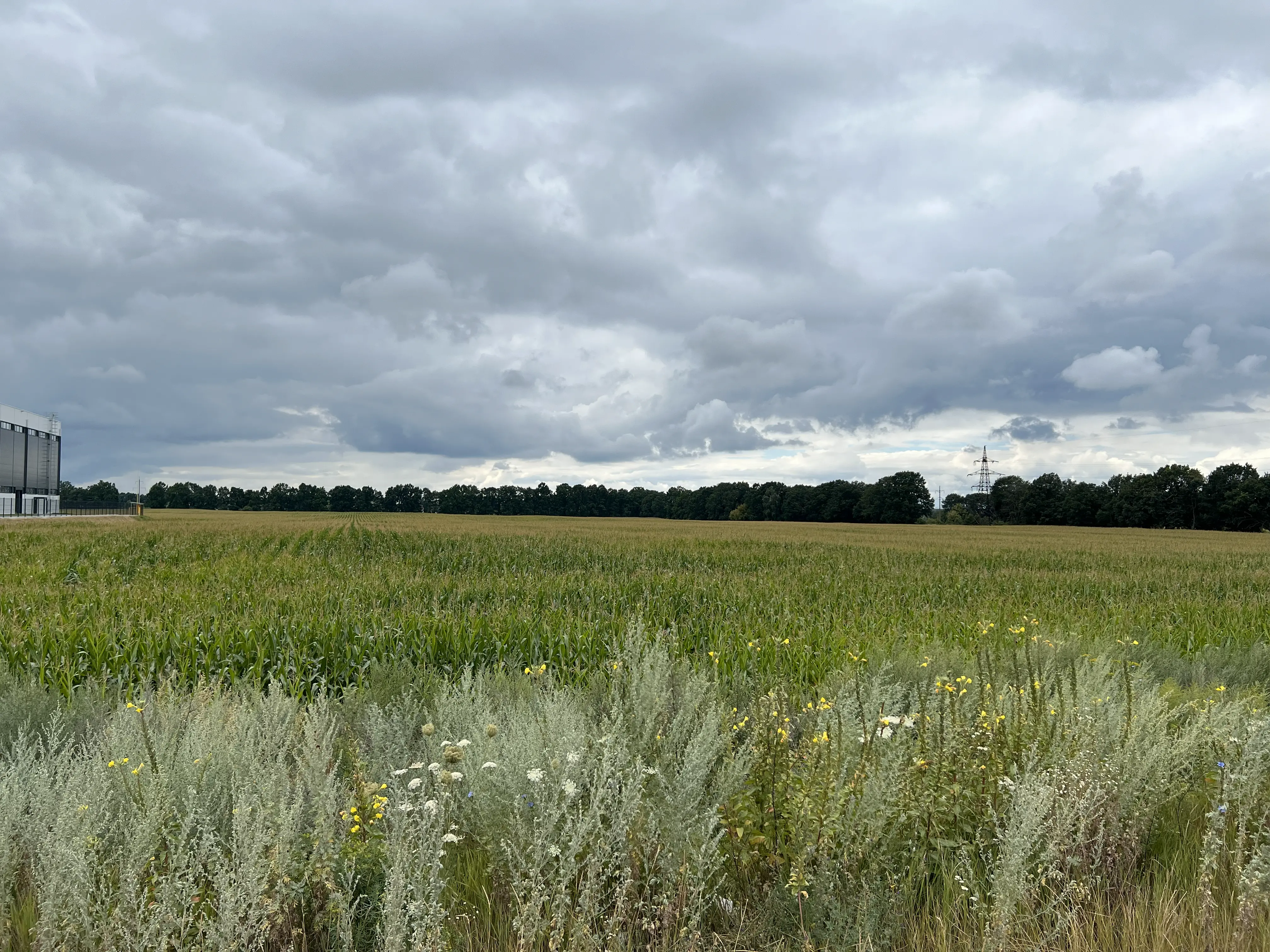 Фото Продаю земельну ділянку, Княжичі, ціна: 4800000 $, код 4030
