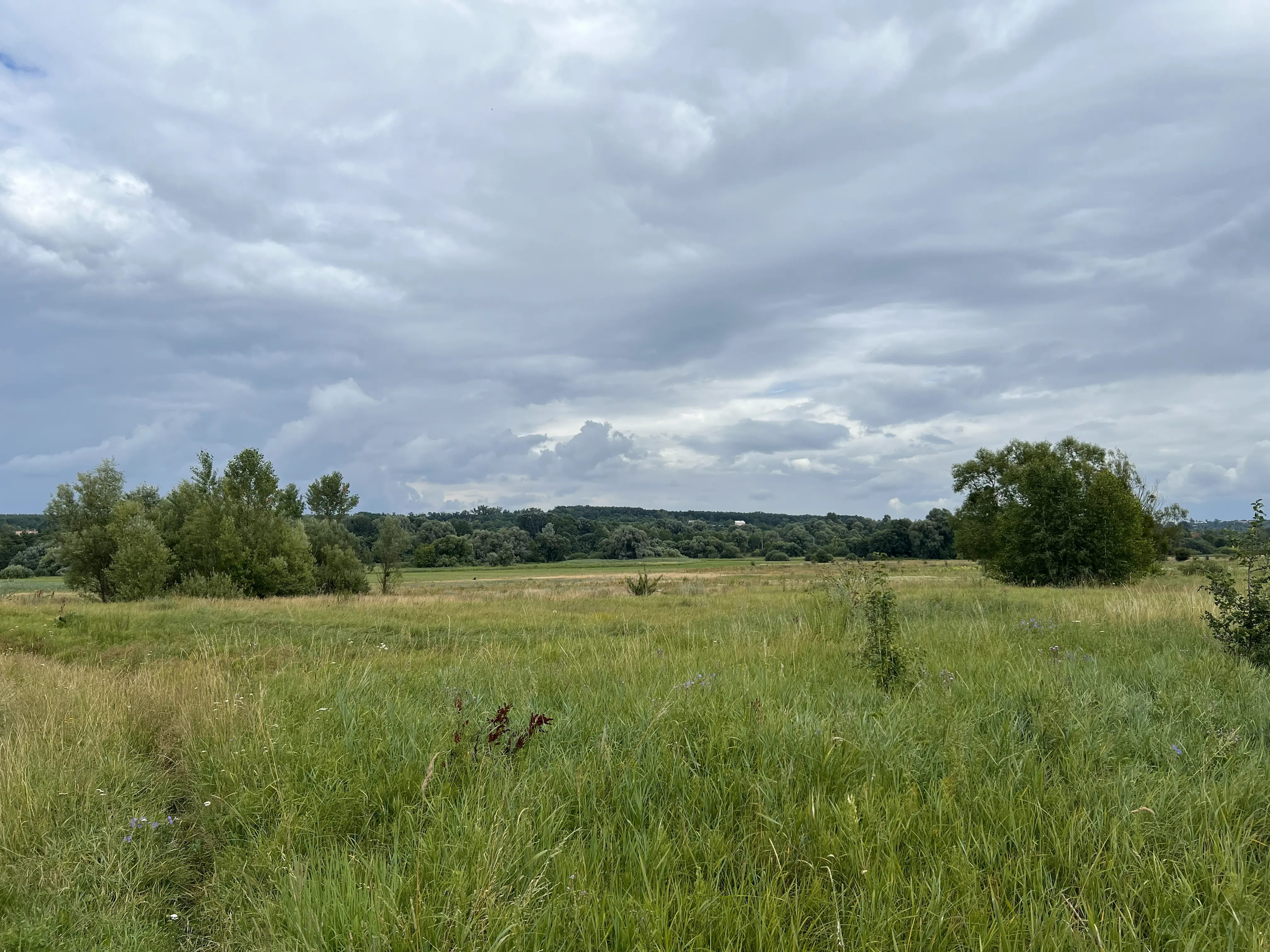 Фото Продаю земельну ділянку, Здорівка, ціна: 1200000 $, код 4032