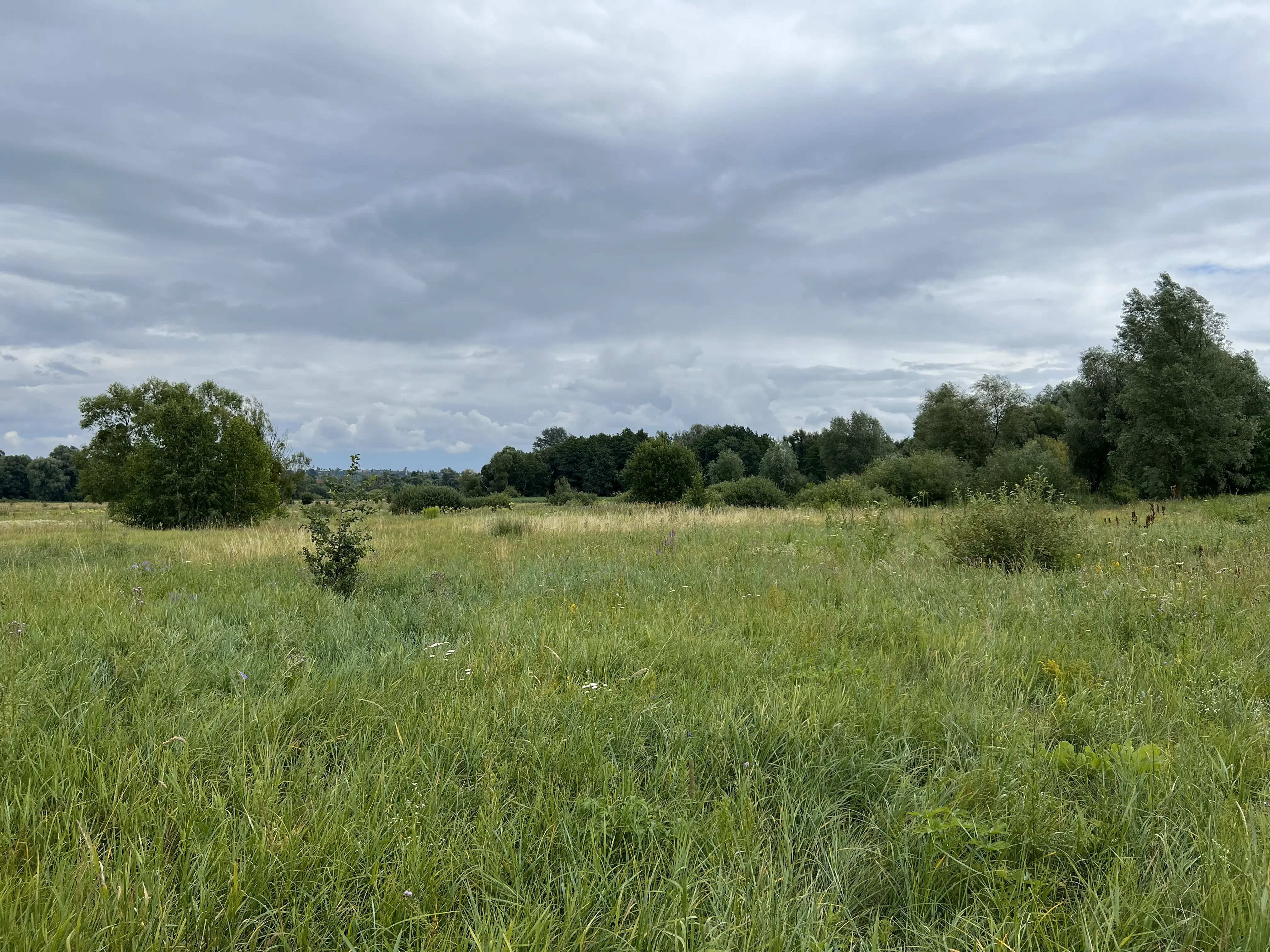 Фото Продаю земельну ділянку, Здорівка, ціна: 1200000 $, код 4032