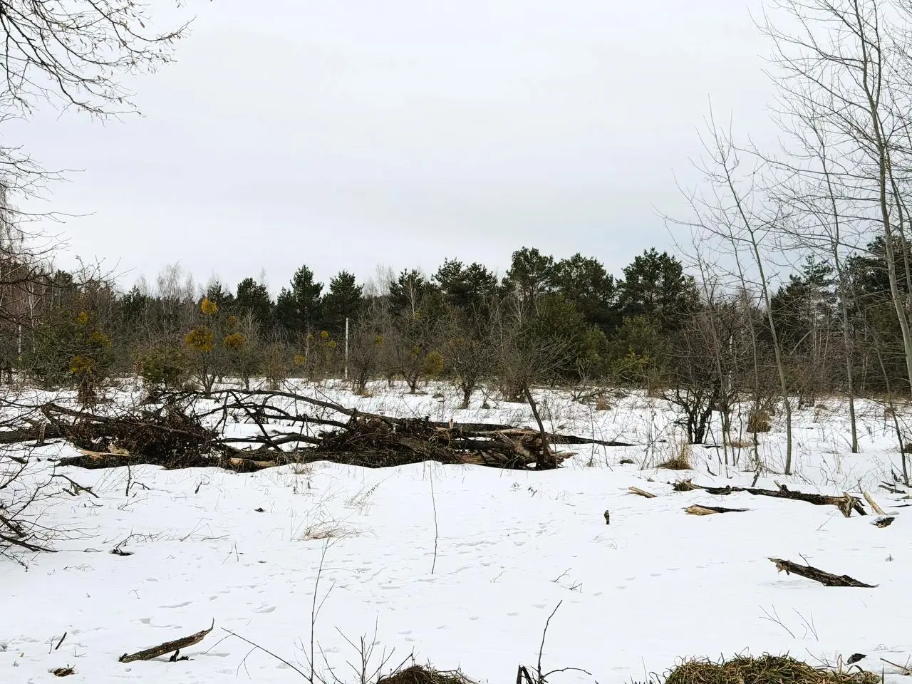 Фото Продаю земельну ділянку, Горбовичі, ціна: 10000 $, код 4086