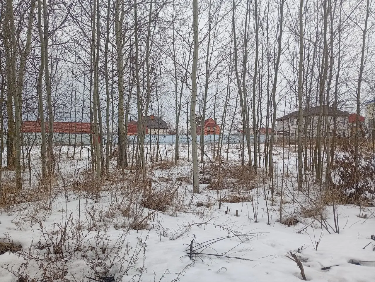 Фото Продаю земельну ділянку, Івана Франка вул.  Княжичі, ціна: 54000 $, код 4094