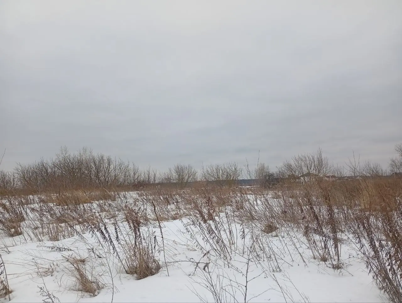 Фото Продаю земельну ділянку, Княжичі, ціна: 20000 $, код 4095