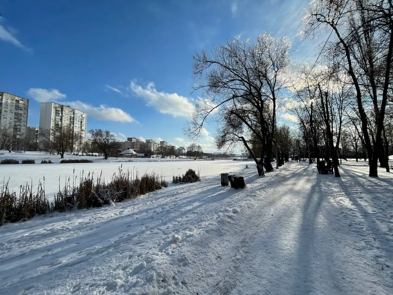 Фото Selling a 1-room apartment, 34 sq.m., Raiduzhna Street 16а Kyiv, price: 37900 $, code 4183