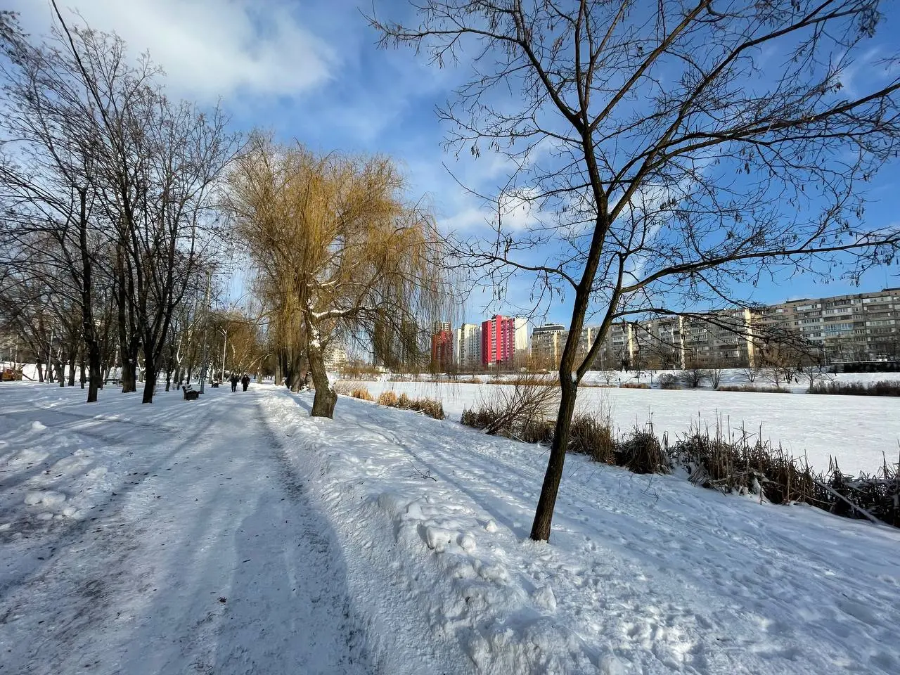 Фото Selling a 1-room apartment, 34 sq.m., Raiduzhna Street 16а Kyiv, price: 37900 $, code 4183