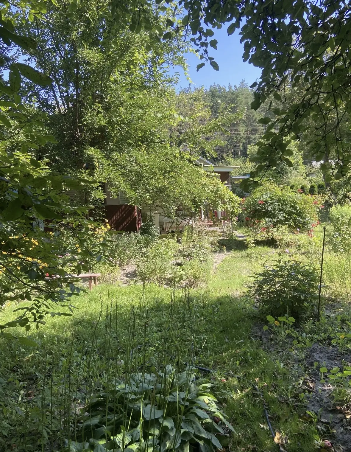 Фото Продаю дом, 60 кв. м, Гатное, цена: 45000 $, код 4187