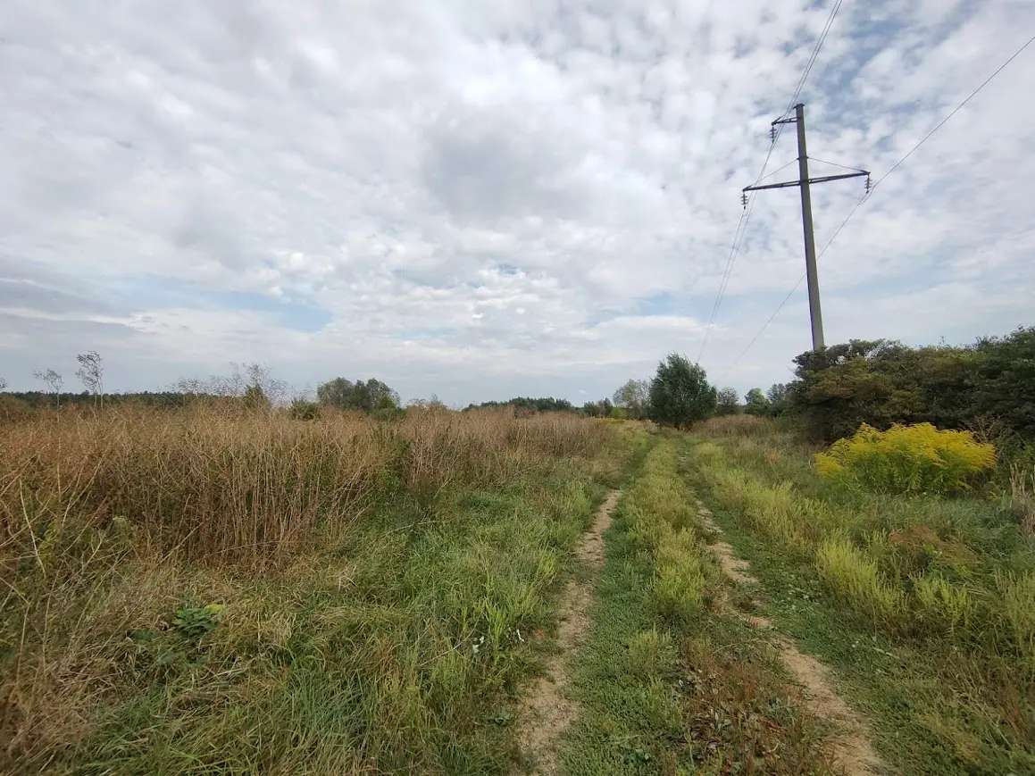 Фото Продаю земельный участок, Горохівська ул. (Пушкина)  Рожни, цена: 7000 $, код 4228