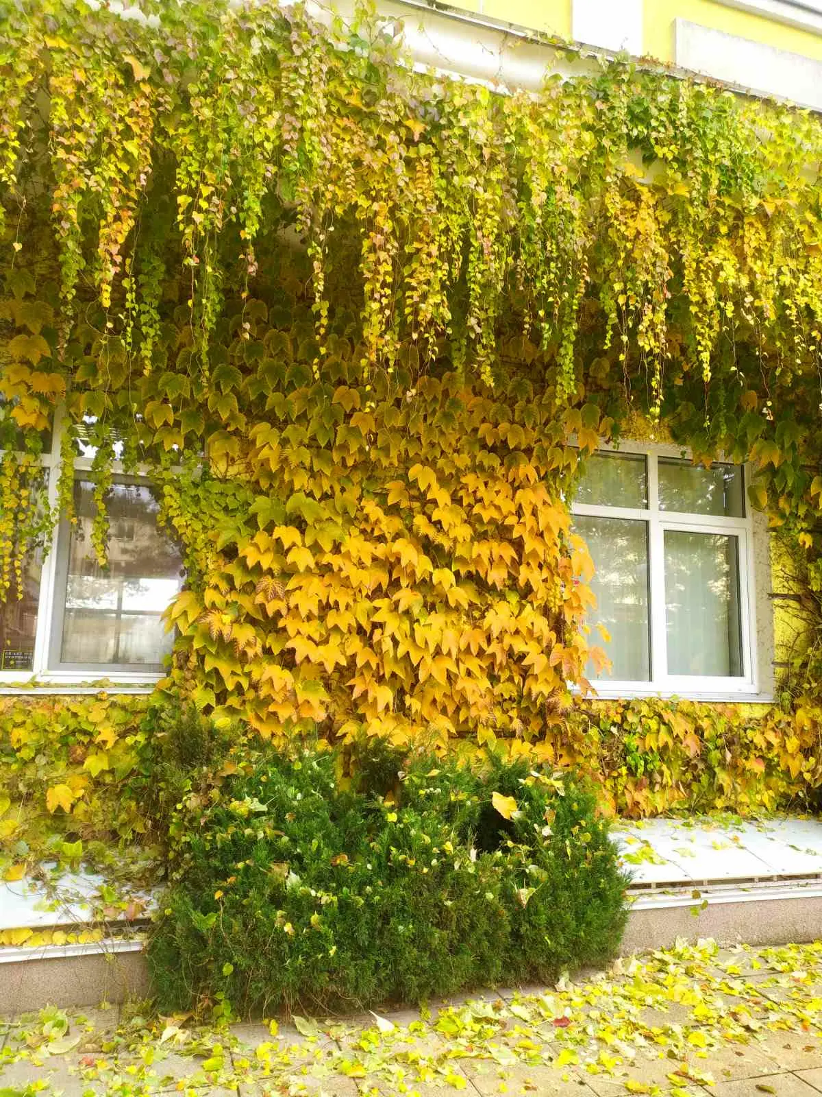 Фото Selling a 2-room apartment, 65.5 sq.m., Lesi Ukrainky Street  Shchaslyve, price: 80000 $, code 4319