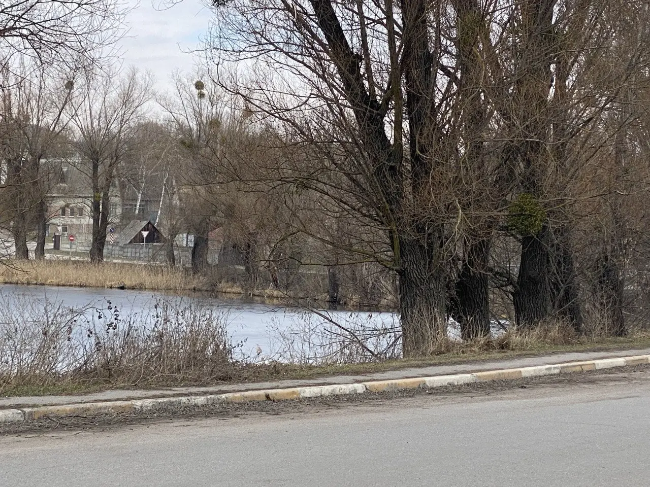 Фото Продаю земельный участок, Музичі, цена: 120000 $, код 4189