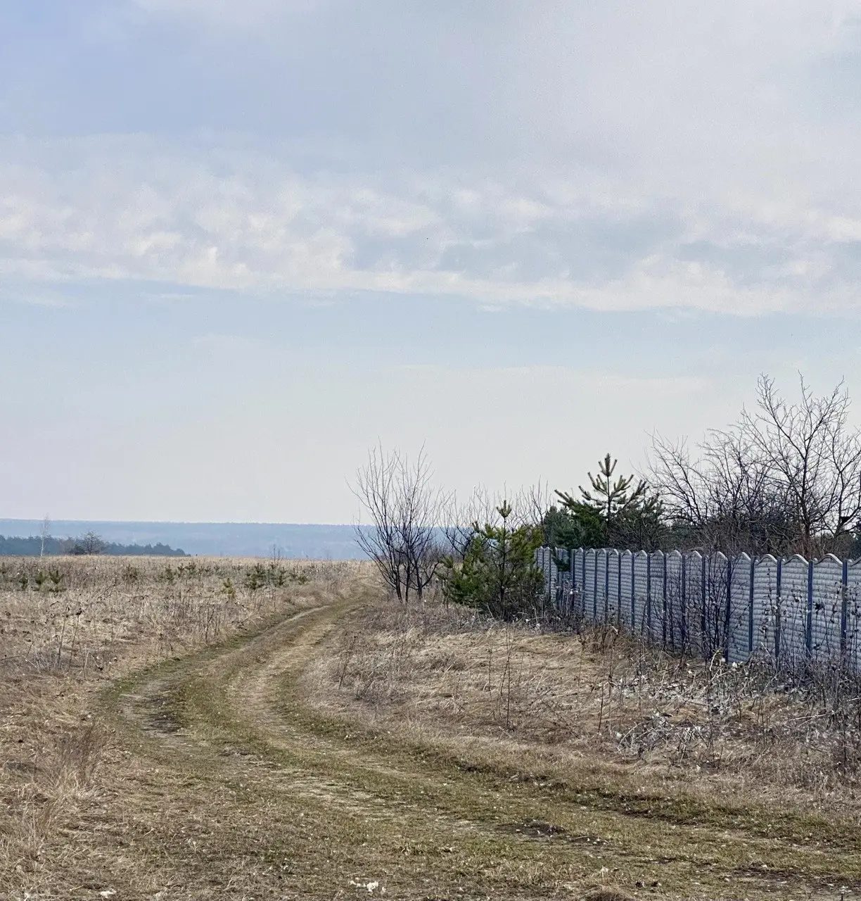 Фото Продаю земельный участок, Музичі, цена: 120000 $, код 4189