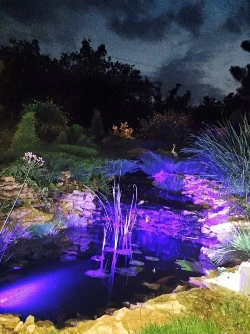 Фото Зняти будинок, Горіхова вул.  Одеса в довгострокову оренду, ціна: 5000 $, код 4333