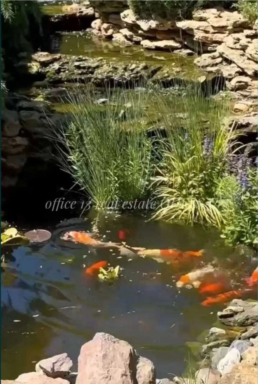 Фото Зняти будинок, Горіхова вул.  Одеса в довгострокову оренду, ціна: 5000 $, код 4333