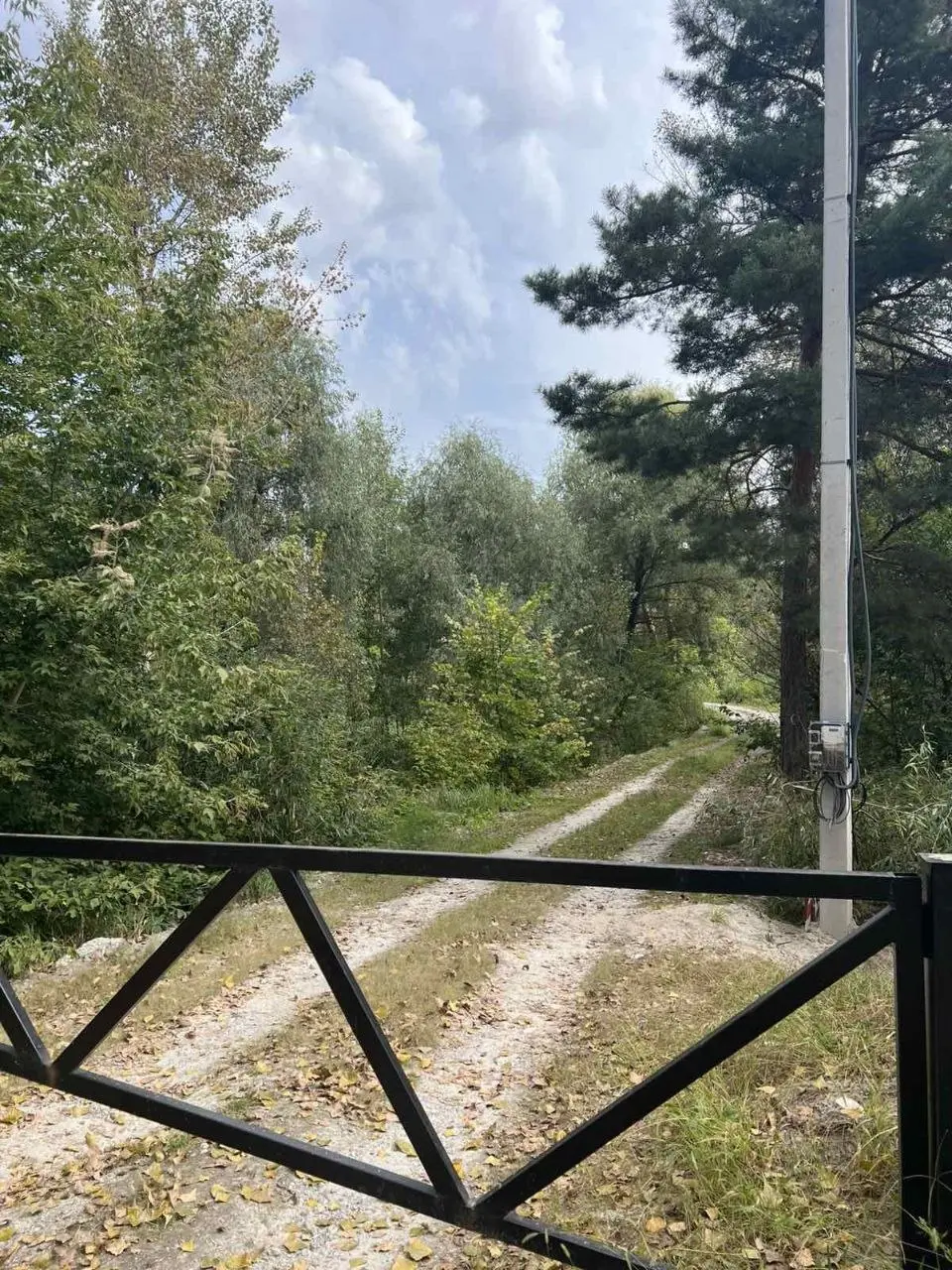 Фото Продаю земельну ділянку, Осещина, ціна: 24700 $, код 4336