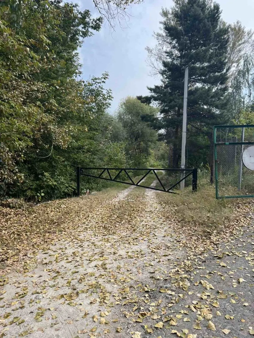 Фото Продаю земельну ділянку, Осещина, ціна: 24700 $, код 4336