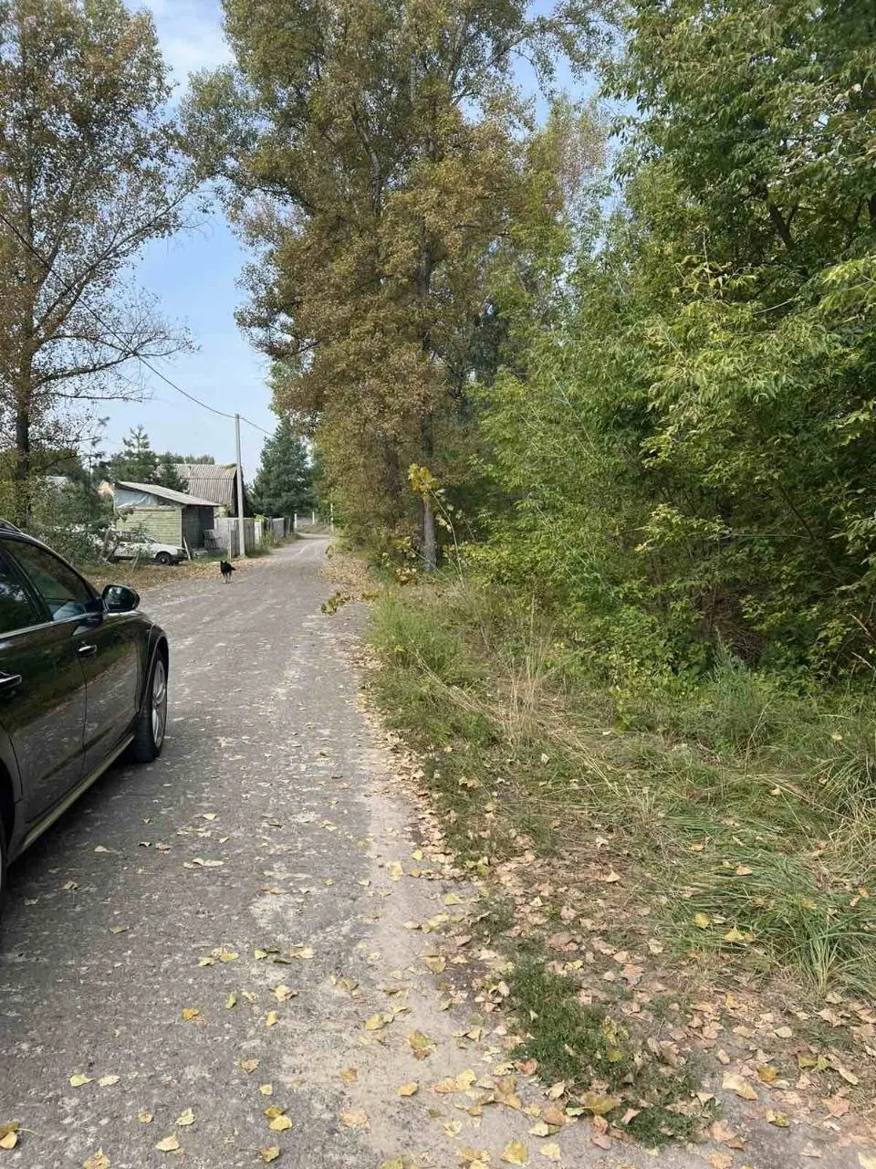 Фото Продаю земельну ділянку, Осещина, ціна: 24700 $, код 4336